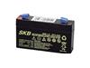 BATTERIA AL PIOMBO 6V 1,3AH SKB